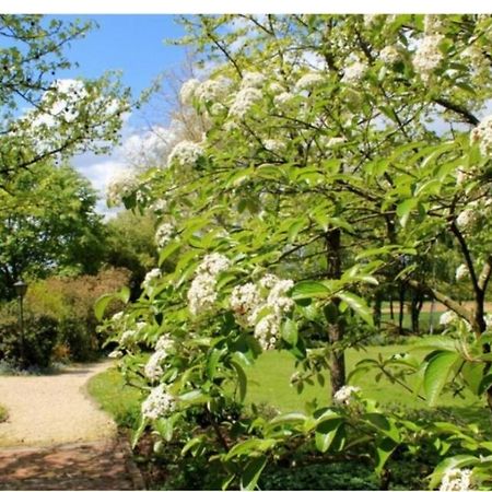 Chambres D'Hotes Les Vignes Montcet エクステリア 写真