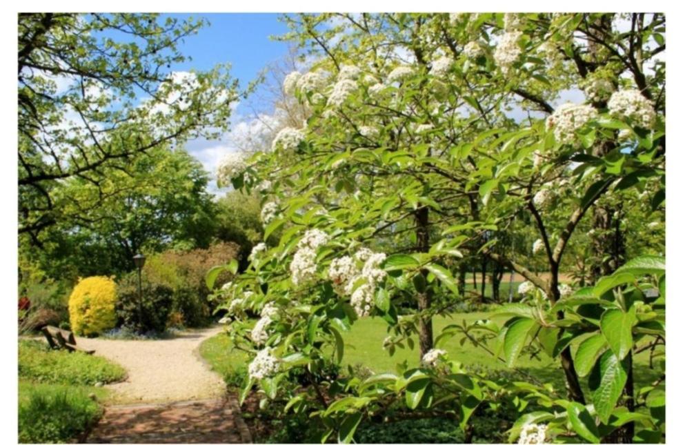 Chambres D'Hotes Les Vignes Montcet エクステリア 写真